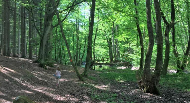 Gaesthus I Naturskoent Laege Genarp Екстер'єр фото